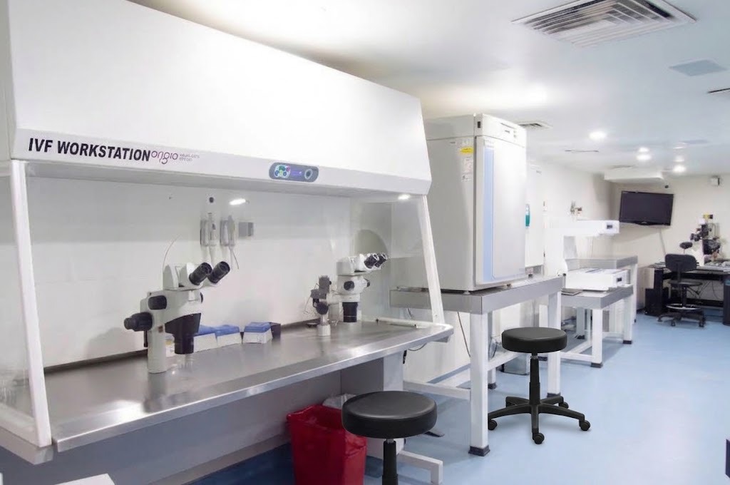 Estaciones de trabajo del laboratorio de embriología